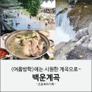 고향산천 | 여름방학 서울근교 계곡 추천 포천 백운계곡 여름휴가 물놀이 고향산천 백숙 후기