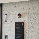 소노펠리체 델피노 이미지