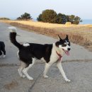 옥산2농장 이미지