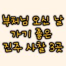 진주 응석사 목조석가여래삼불좌상 | 부처님 오신 날 가기 좋은 경남 진주 사찰 best 3