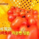 토마토는 왜 채소일까? 이미지