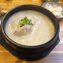 신월동080 | [창원] 삼계탕 맛집 &#34;국화삼계탕&#34;
