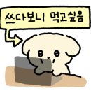 신여인천하 이미지