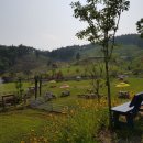 유찬목장 이미지