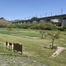 팀파이브스포츠클럽 | 📍 갑천파크골프장 기본 정보 &amp; 특징