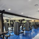 4주 해독 다이어트, 30일 동안의 다이어트를 마무리하며..