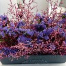 본동카페 이미지