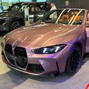 BMW M FEST 2025 페스티벌 후기