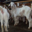 김태희농장 이미지