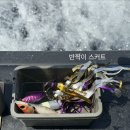 해야달아휴게실 | 강릉 문어낚시 채비부터 조과까지, 초보 리얼 후기