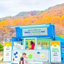 함태초등학교 이미지