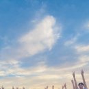 상북태권도 이미지