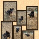 용운농장 이미지