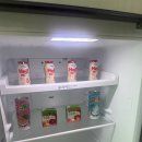 라고1618 | [용인]라고 1618 풀빌라 펜션 1동 후기 | 내돈내산