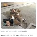2월 기록 | 나는 물개가 될 거야(수영 시작, 열심히 먹기, 서재 방 꾸미기)