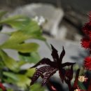 내와분교 이미지