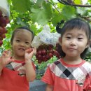 오하농장 이미지