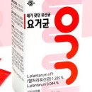 주식회사 요니네 이미지