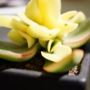 월금농장 이미지