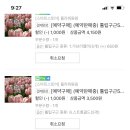 팜팜스토어 네이버블로그