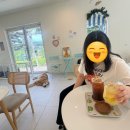 무병짱수 | [내서 애견동반 카페] 강아지사장님 무병짱수의 장수가게 리뷰｜내서 강아지동반·수제간식·힐링 공간