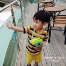 알퐁소농장 이미지