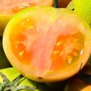 대저어린이집 이미지