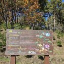 마당이수목원 | 정선 국립백두대간 생태수목원 방문 후기