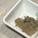 푸디 | 슈퍼푸드 게코푸디 인섹트 사용 후기