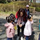 동수원초등학교 이미지