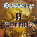 아마뚜스 이미지