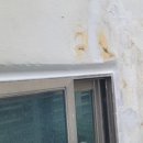 첨단성원아파트 이미지