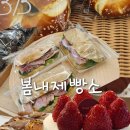 [춘천 빵카페] 봄내제빵소, 빵맛집인데, 딸기주스는 음..?(내돈내산/솔직후기)