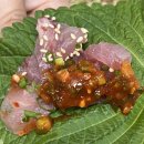 강앤바다 이미지