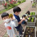 교동초교병설유치원 이미지