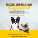 소풍동물병원 이미지