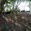 마이산농장 이미지