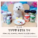 건강한 펫 이미지