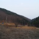 연산화분 이미지