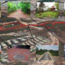 호수공원소나무숲길 이미지