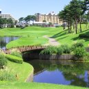 델피노숲 이미지