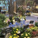 경기도 수원시 장안구 경수대로908번길 | 아빠와 거리감 있는 딸들의 공통된 특징