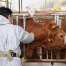 병건농장 이미지