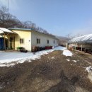 김진기공인중개사사무소 이미지