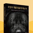 낭창한 강아지 이미지