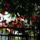 진한미술관 이미지