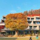 탑 웰빙하우스 | 가평 아난티코드 1박2일 꿀팁 완전정리｜부대시설·이용시간·대가족 여행