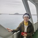 우도/성산일출봉 천연보호구역/성산 광치기해변/제주 도련동 귤나무류 이미지
