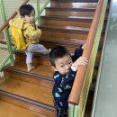 연세참소망치과 네이버블로그
