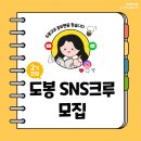 도봉구 홍보의 세계로 빠져든 호두♡/ 제2기 도봉 SNS크루 발대식 후기